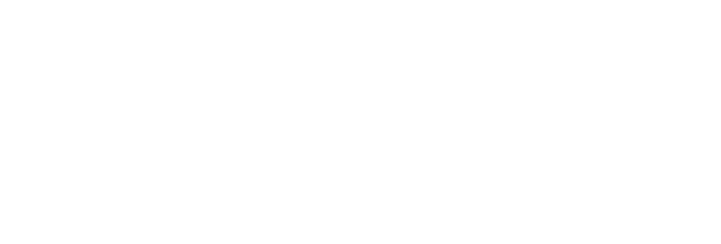 ArgoVerseX Logo